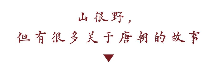 DƬ